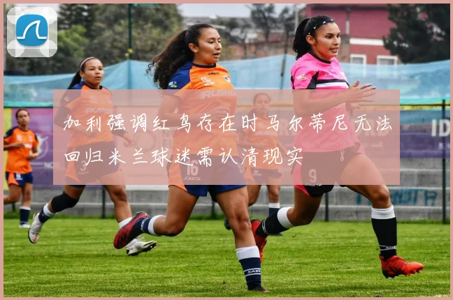 加利强调红鸟存在时马尔蒂尼无法回归米兰球迷需认清现实