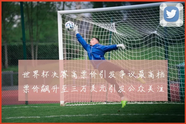 世界杯决赛高票价引发争议最高档票价飙升至三万美元引发公众关注