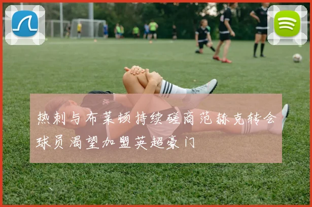 热刺与布莱顿持续磋商范赫克转会球员渴望加盟英超豪门